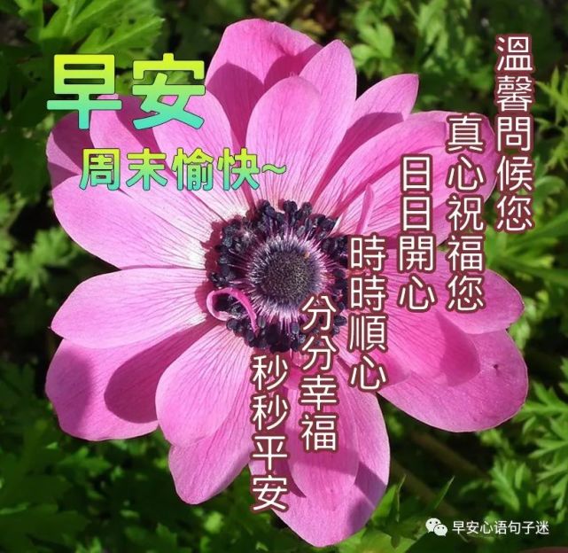 週末愉快祝福語 週末早安圖片祝福語