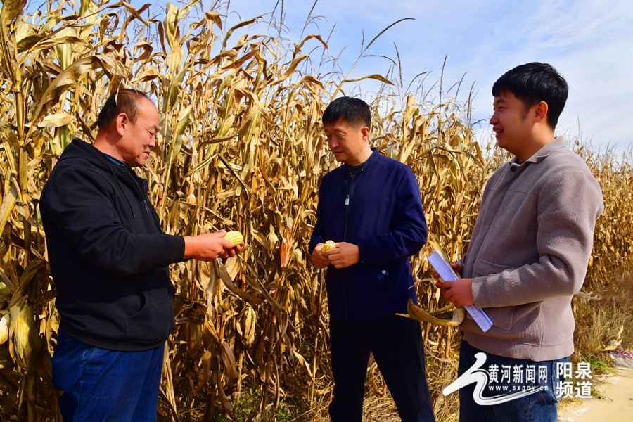 晋欢颜盂县西烟镇乡村振兴以农为翼展翅高飞
