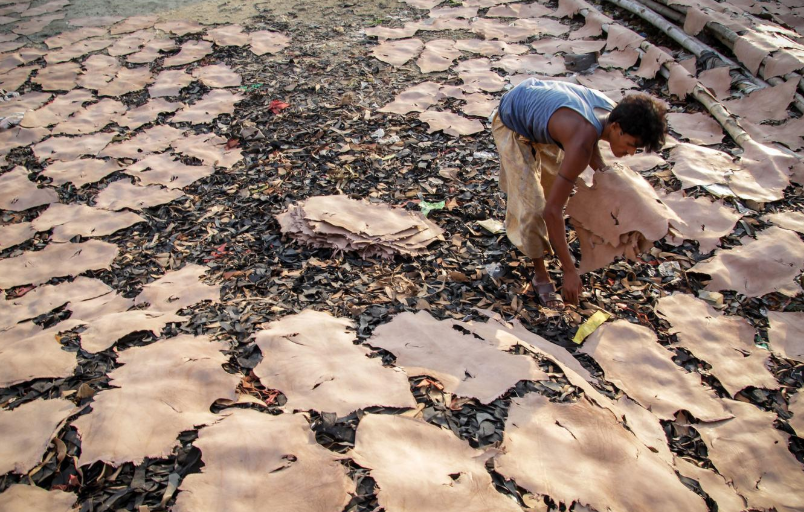 拥有全球第一耕地面积的印度为何沦落成为了重度饥饿国家