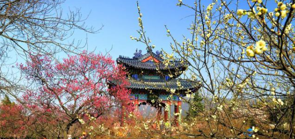 南京旅游：去南京游玩，有什么旅游攻略值得推荐？