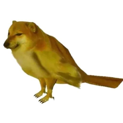 表情包柴犬沙雕表情