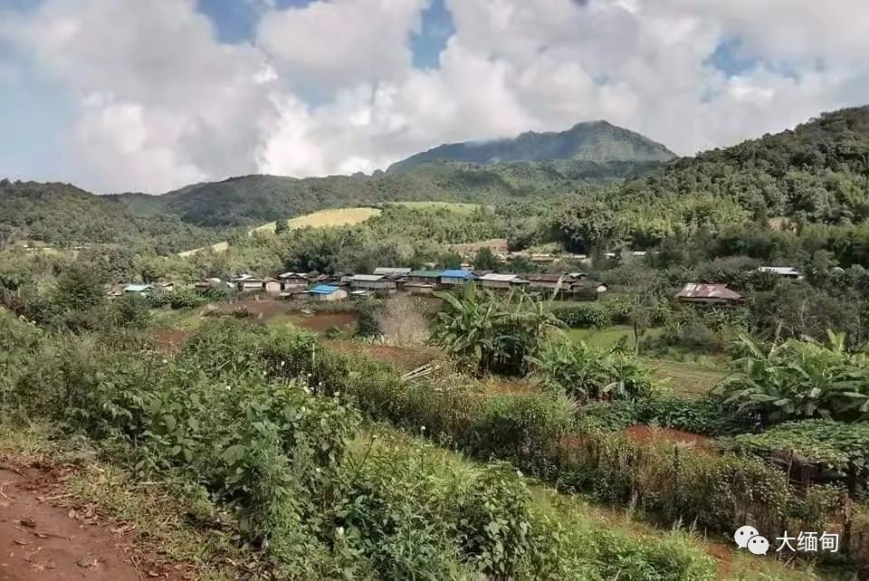 10月19日,缅甸掸邦北部当阳镇区瑙莱乡贡高村(3732353836