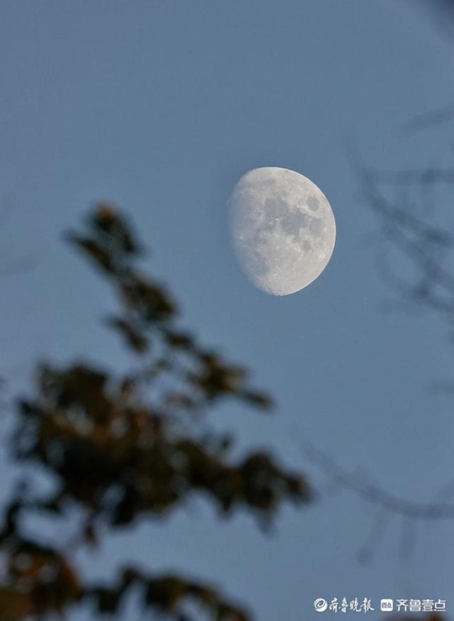 蓝天下月亮高挂天空