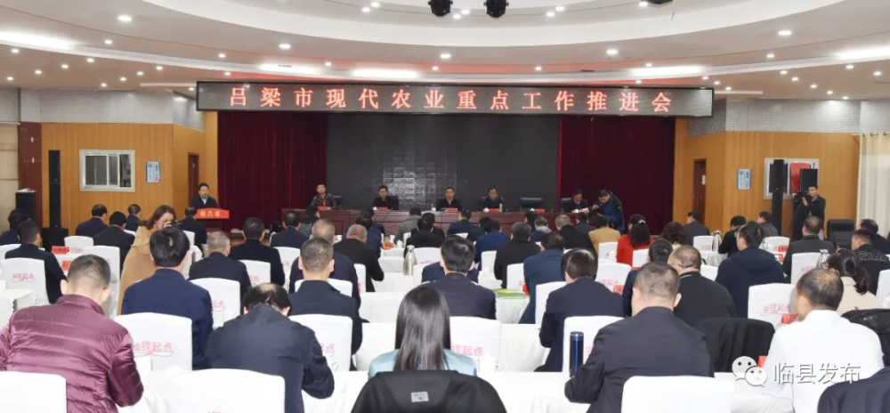 吕梁市现代化农业重点工作推进会在临县召开