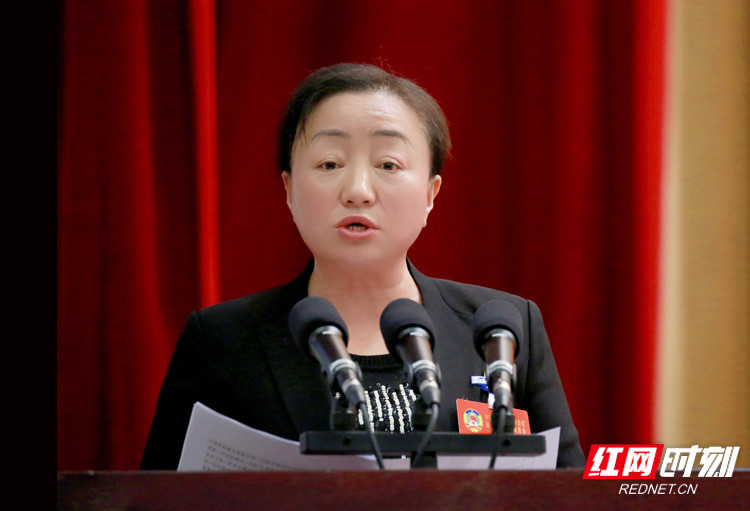 会上,葛晓红同志作九届一次会议以来提案工作情况报告.