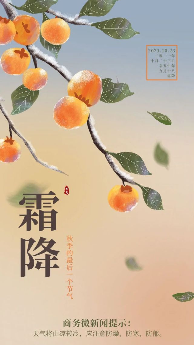 二十四节气|今日霜降