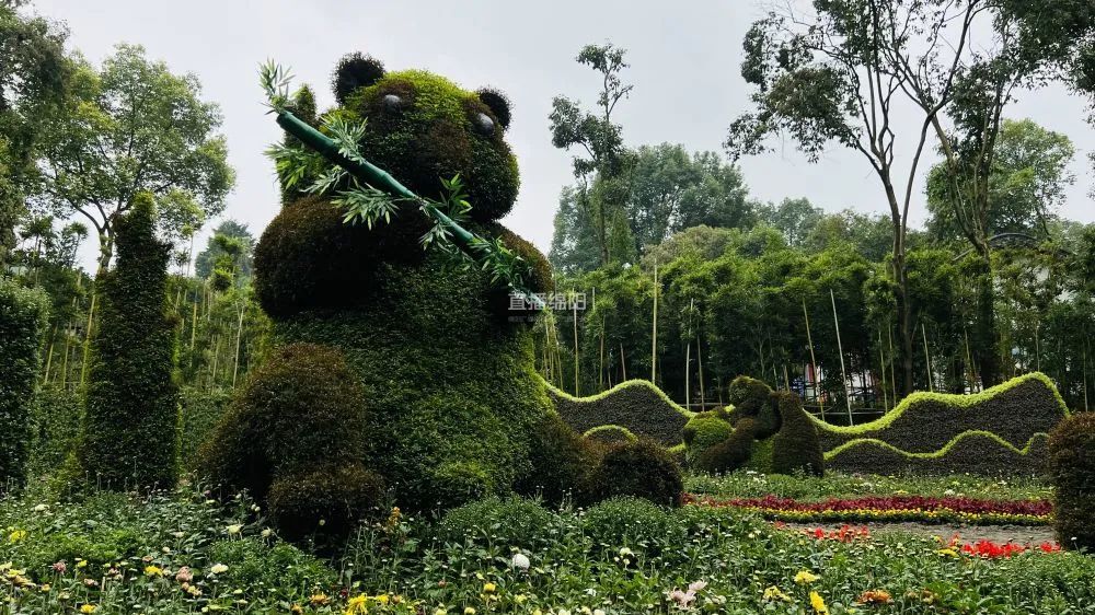 富乐山菊花展图片