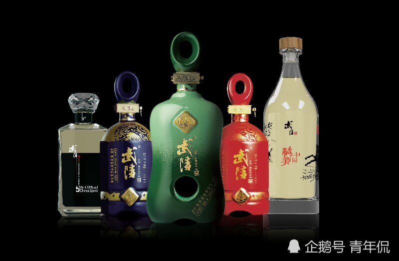 T16 白沙液 BAISHAYE 中国古酒 540ml 54% 1992年 酒 - その他