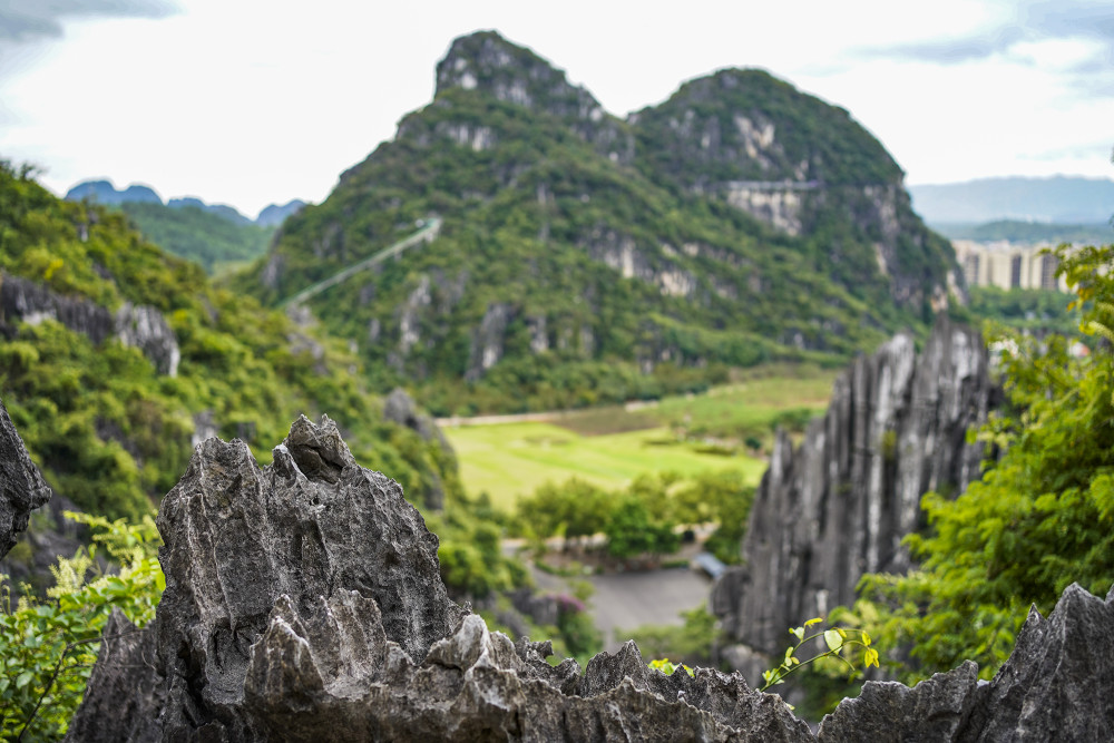 广东阳江有个春湾石林,拍过20多部影视剧,像万把青铜剑直刺云天