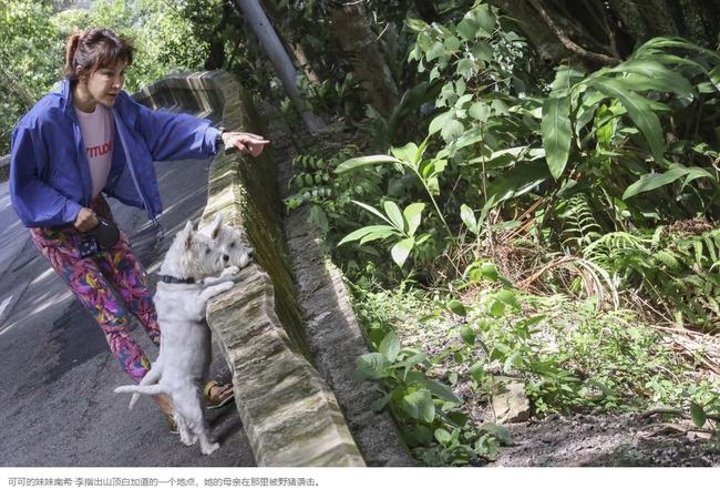 1个月内竟有4位明星父母被曝出事！患病离世、成老赖、野猪撞瘫痪