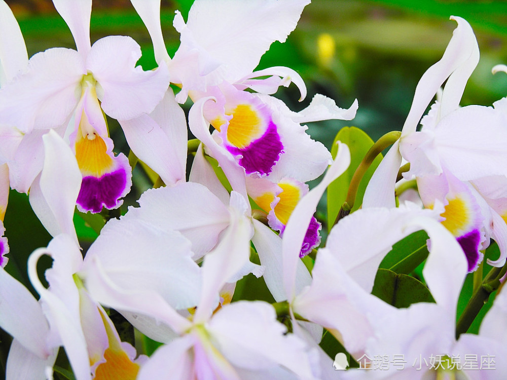 10月25日爱情运势 深陷爱河 良缘相伴的四大星座 腾讯新闻