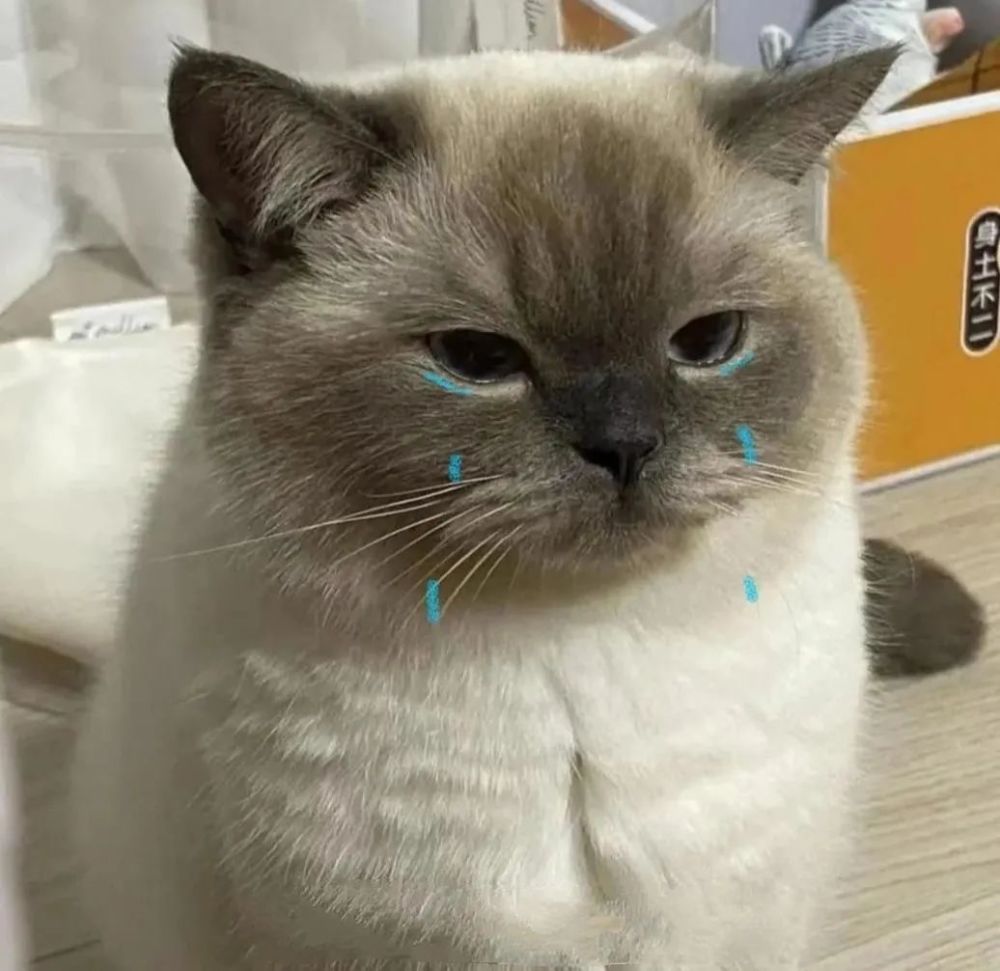 热门表情包大合集丨可可爱爱