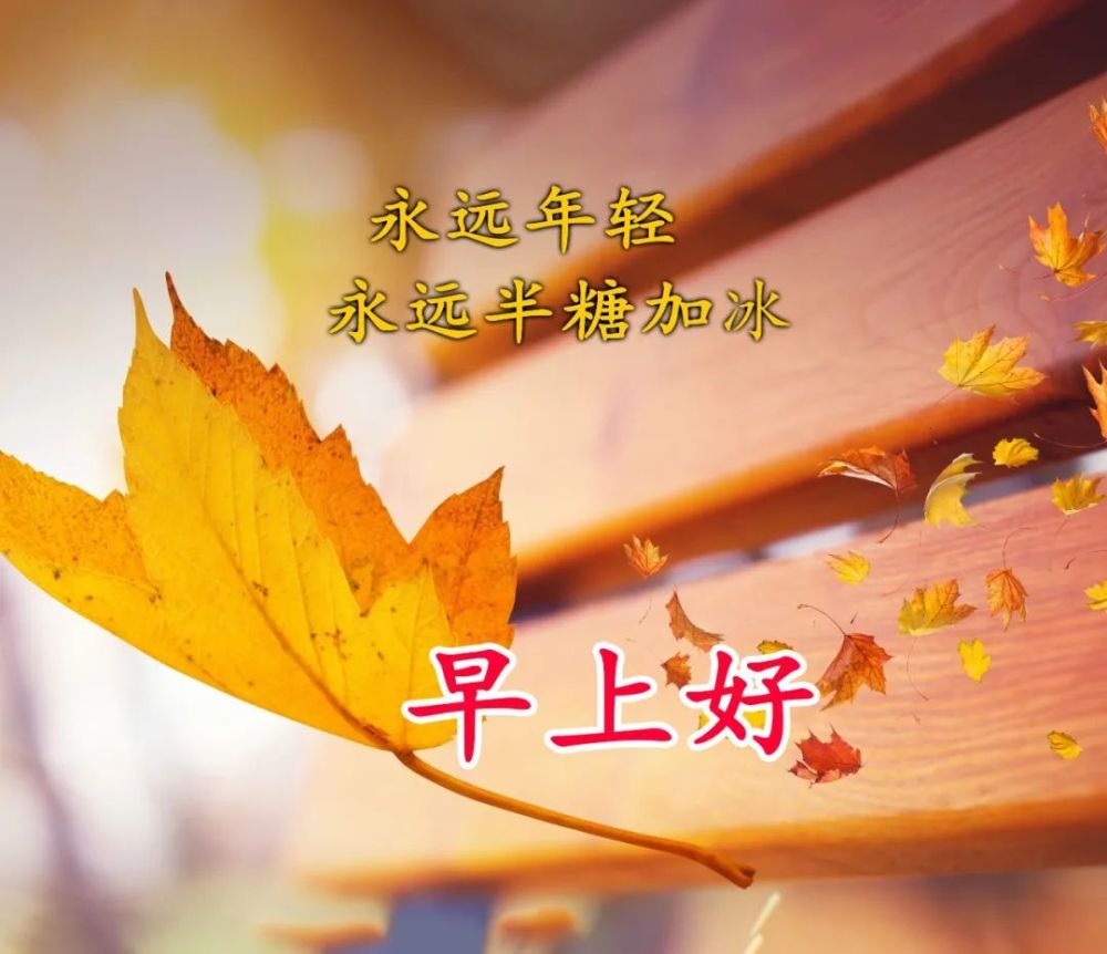 最新早安吉祥祝福语图片带字美图动态祝福2021早安问候祝福语录图片带