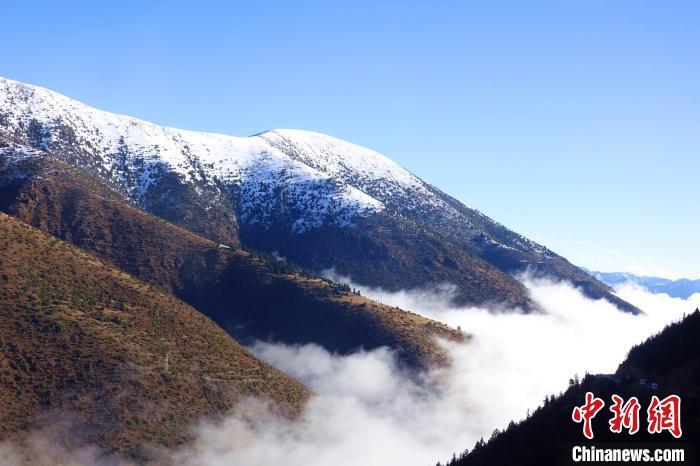 10月23日,西藏自治区察雅县吉塘镇出现壮美的云海景观,山间云海与皑皑