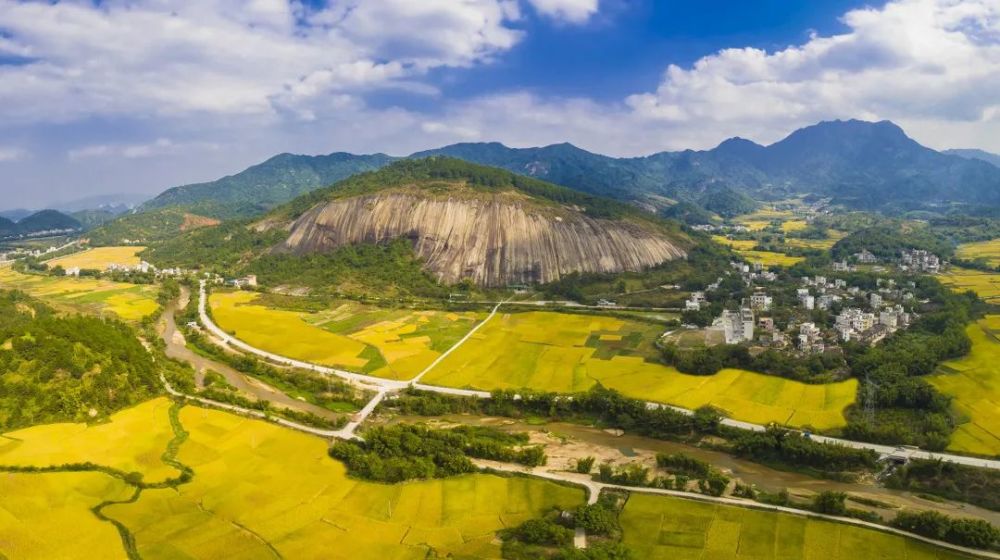 大爱有声一茶一鸡助力封开县大洲镇村民走上致富路