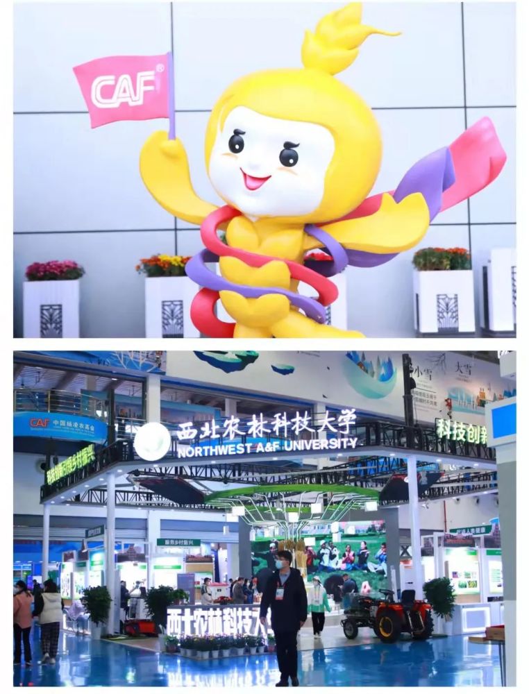 关于网红云科技自助下单风雨科技的信息