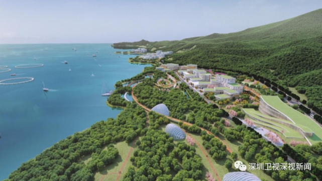 深圳国际食品谷如何布局?_腾讯新闻