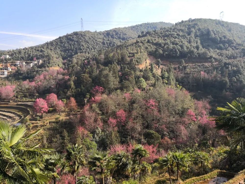 红河县大羊街乡图片