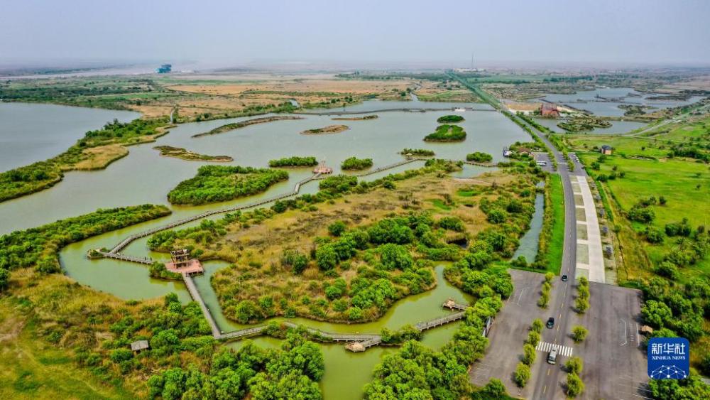 习近平总书记谋划推动黄河流域生态保护和高质量发展谱写新篇章600526菲达环保