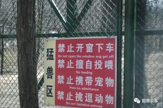 以身试虎?野生动物园不需要"现代武松"