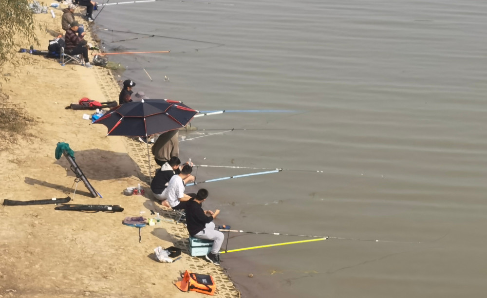 到了周末,贾鲁河成了郑州钓鱼爱好者们打卡的好地方.