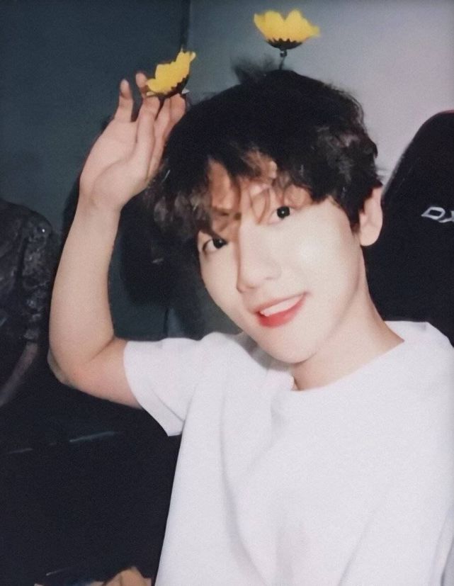 边伯贤拍立得照片自拍匠人边伯贤