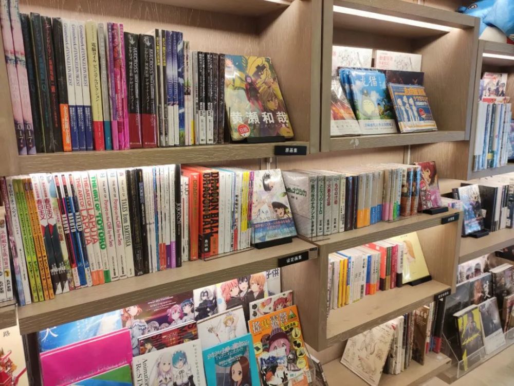 他也没想到深圳有这样做动漫进口书的实体店,哪怕他还常在书店背后