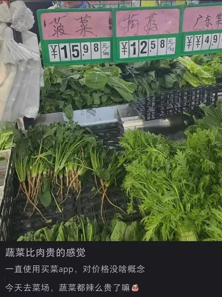 黑椒鸡柳口感蔬询证发改委方大型网友存款加快菜花近