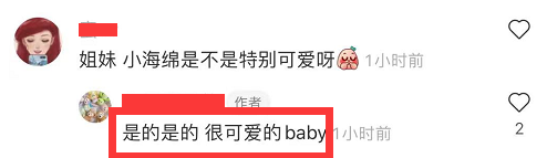 与黄晓明合体后baby又带娃游玩，小海绵露正脸，baby好漂亮