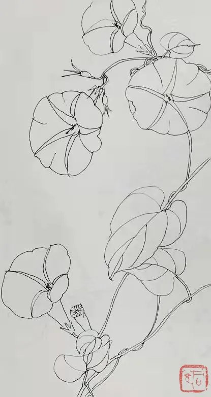 砺斋同光花鸟写生系列之十牵牛花