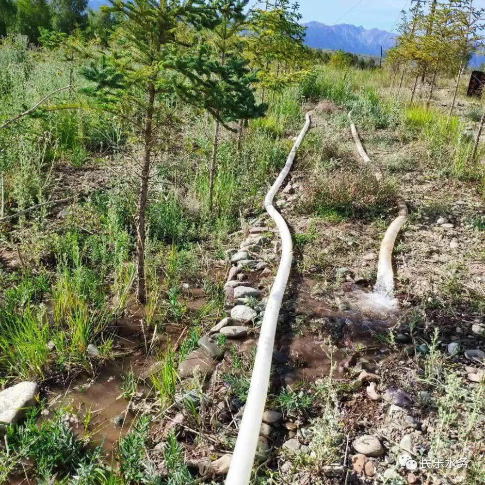 民樂縣大堵麻西乾渠水管所探索節水新路徑做好節水大文章