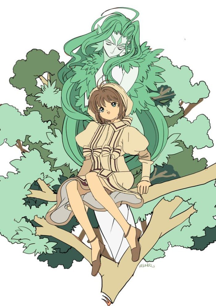 魔卡少女樱树牌