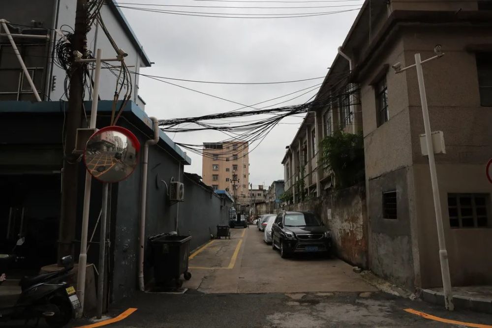 垃圾分类 圳美社区环境卫生干净整洁,道路平整,空中缆线整齐规范