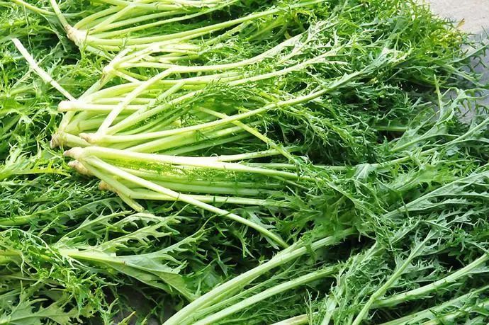 腌雪里蕻,要想翠绿好吃不变黄,牢记"1放1窍门",我每年都做