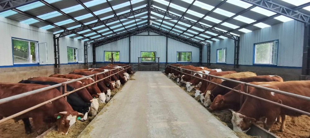 吉林省肉牛办对34个肉牛大县88个肉牛养殖大项目实施包保推进