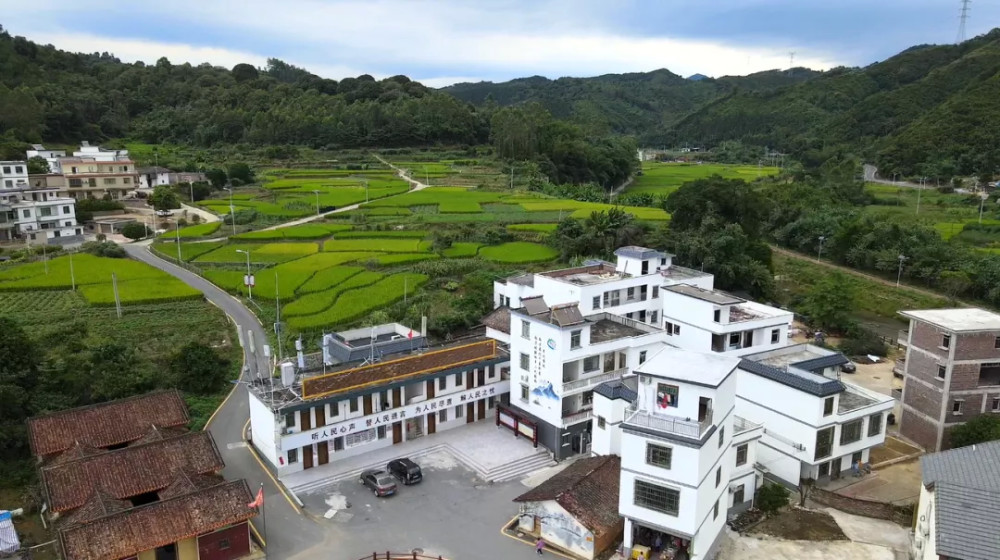 產業助農英德連樟村跑出鄉村振興加速度