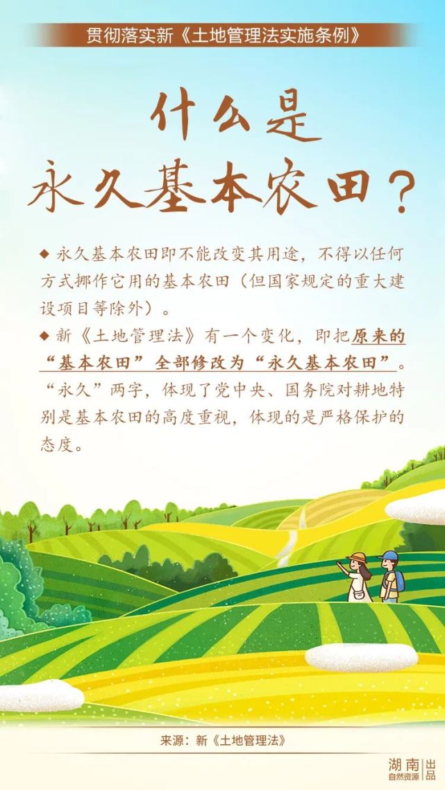 执法《占用永久基本农田挖鱼塘,小心触犯刑律进牢房》67《综合执法