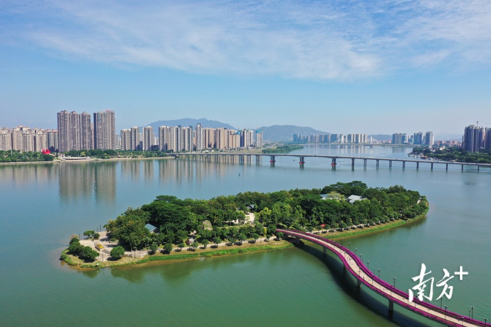 10月19日中午,清远清城区江心岛在碧水蓝天下,青翠欲滴 阳光微笑 摄