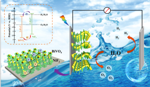 圖2 nif2/bivo4光電催化水分解可能性機理示意圖原文信息frontiers