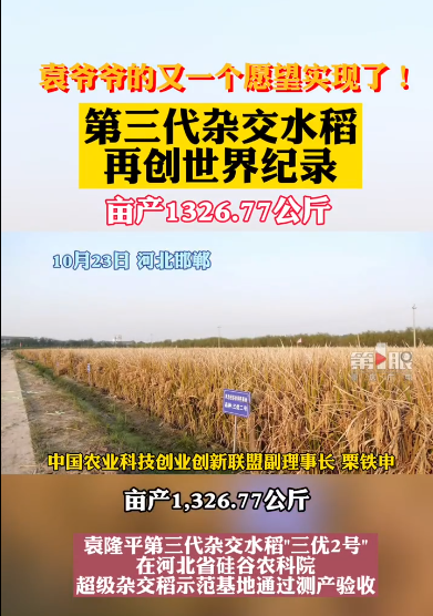 第三代杂交水稻单季亩产创纪录