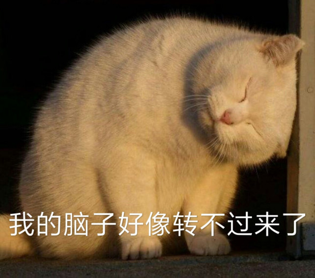 为什么说物理专业是一个很坑的专业