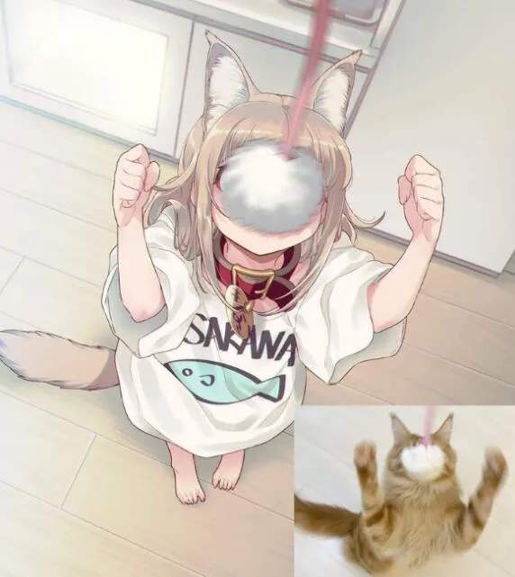 "拟人猫娘"走红网络!日本人眼里,是否装着一整个二次元世界?