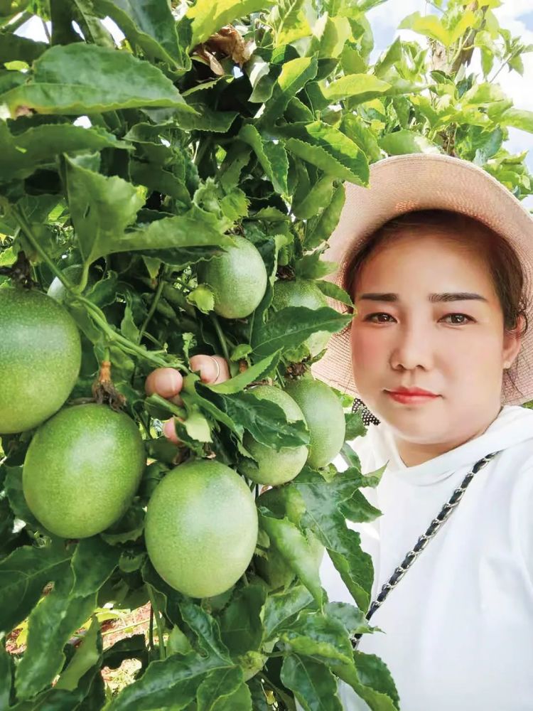 周亚玲带领各族乡亲共同致富的西番莲公主