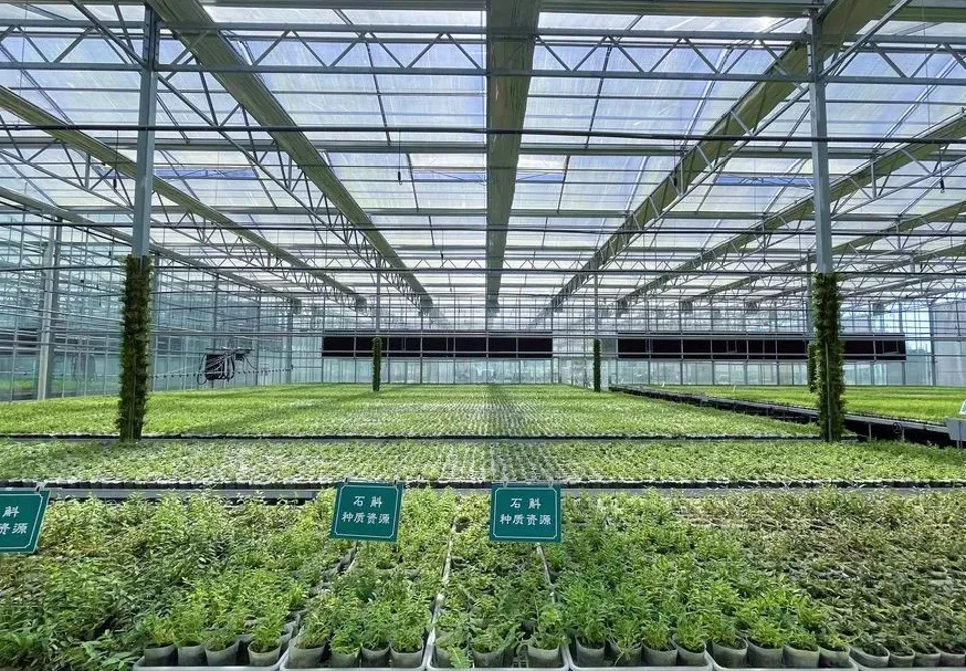 妙艾堂资讯-妙艾堂官网