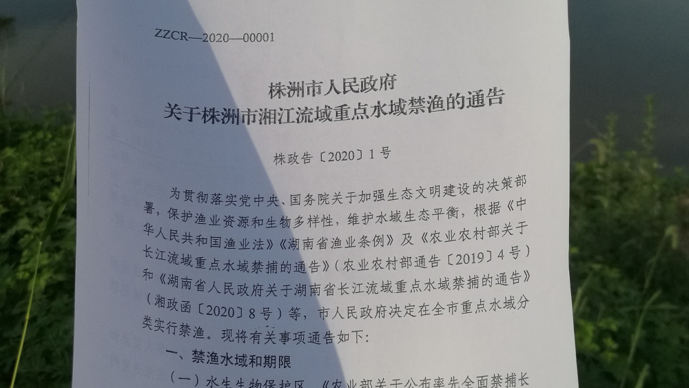 在湖南湘江钓鱼必须分清禁渔期与禁钓区路亚海竿可按67规67定使用