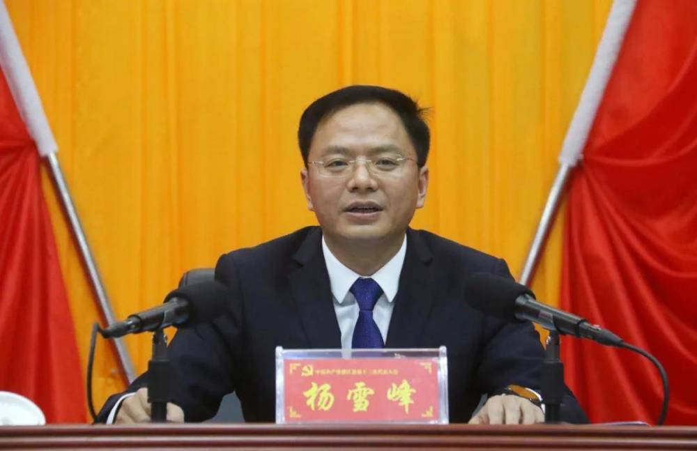 杨雪峰当选中共德江县委书记