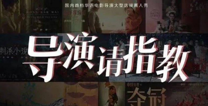 这节目太真实《导演请指教》韩雪被"业余"骂哭,王文也是陪衬