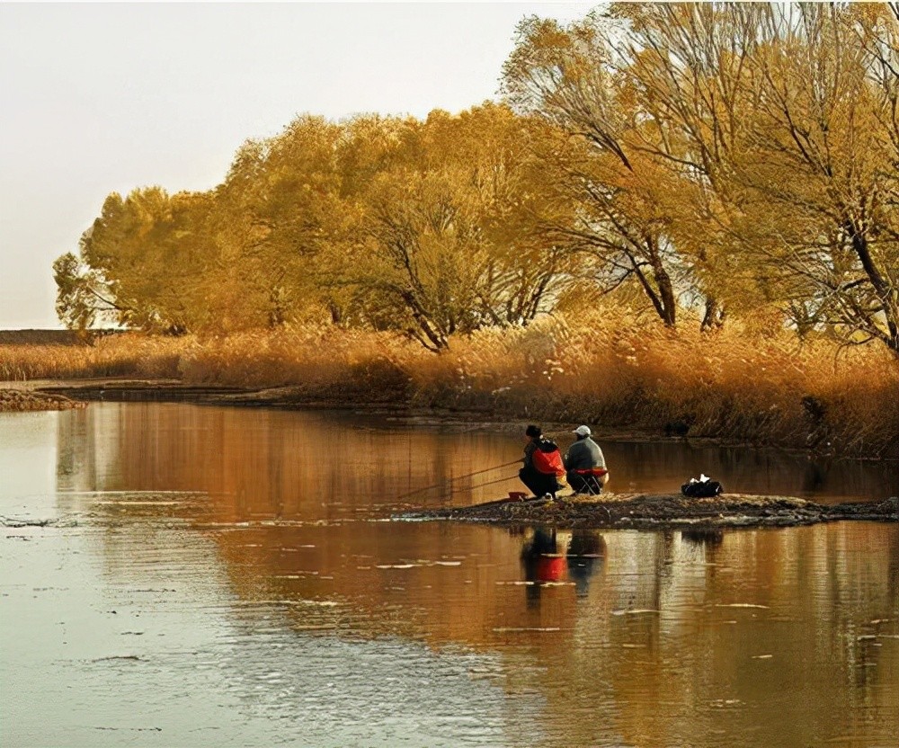 在我国,用羊油钓鱼由来已久,在使用过程中如果能做到这三点,效果会