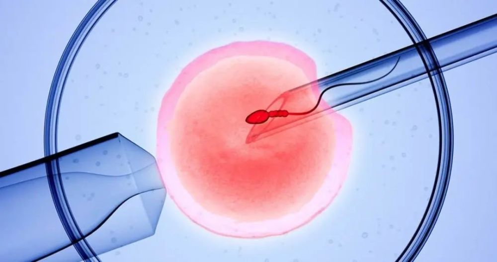 格鲁吉亚第三代试管婴儿适合哪些人群爱优宝贝