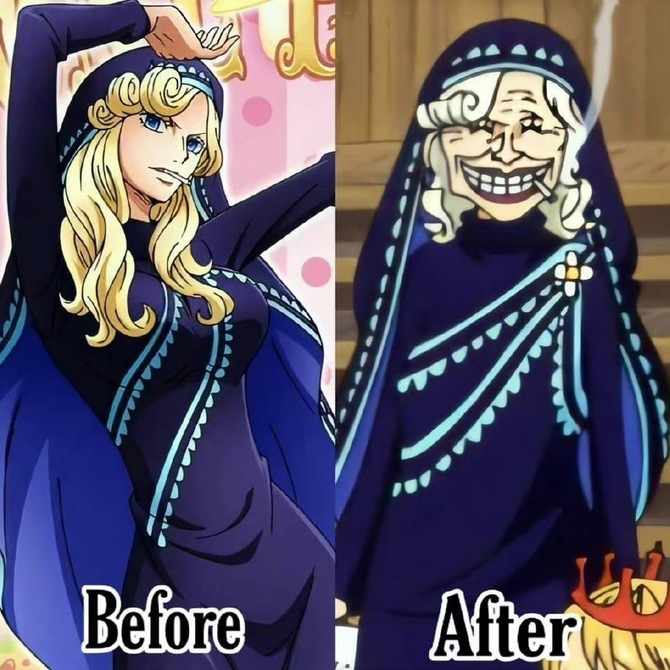 时间果然是把杀猪刀 海贼王世界里的女性都逃不过岁月的摧残 腾讯新闻